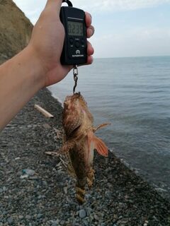 Три часа на пляже Сукко до отдыхающих со скорпенами и мелкой барабулькой