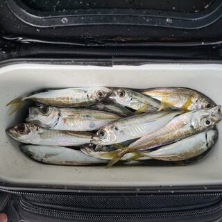 Час с силиконом на Чёрном море перед волной и планы переключиться на луфаря