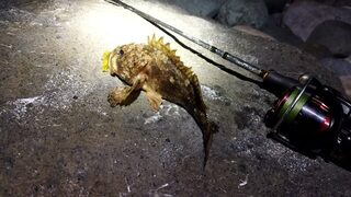 Скорпены в Имеретинке начали клевать только после восьми вечера
