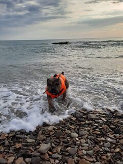 С друзьями на спиннинг в Дивноморском ловили на отводной и отводжиг