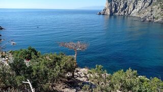 Луфарь взял при выматывании донки в Коктебеле, а бомбарда промолчала
