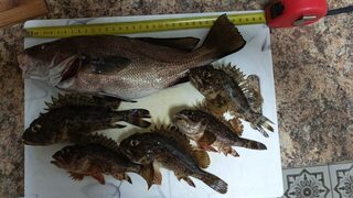 Полтора часа на имеретинских камнях