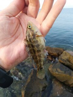 Что беру в отпуск для ловли с морских волнорезов и причалов