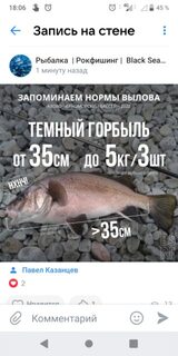 Что беру в отпуск для ловли с морских волнорезов и причалов