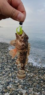 Чёрное море: утренний и вечерний выход, а в местной ловле автор пока только разбирается