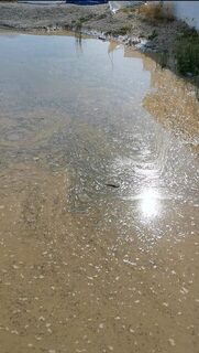 Легчайшая удилка интереснее крана, а море после ливня коричневое