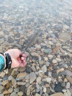 Чёрное море после непогоды: чистые участки, приятный улов и снасти без лишнего утяжеления
