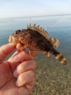 Чёрное море после непогоды: чистые участки, приятный улов и снасти без лишнего утяжеления
