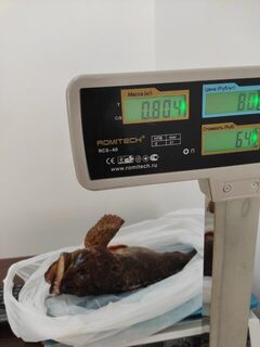 Чёрное море: ночная скорпена и новый личный рекорд по ершу