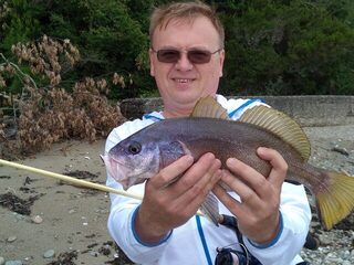 Чёрное море на воблеры: скорпена, карась, кукушка, горбыль, ставрида и даже мармир в улове