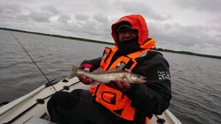 Очередные приманки для морской коробки