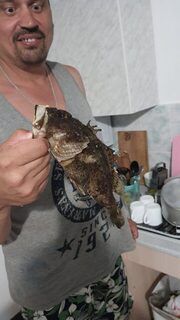 Самая крупная скорпена с Утриша была примерно на 400-500 г