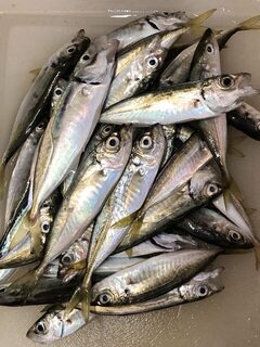 Мормышка 0,4 г с кусочком силикона помогла справиться с тычками мелочи