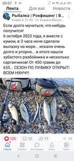 У Бориса Виноградова из Сочи пара сарганов и луфари