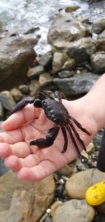 Лермонтово, ловля на диком берегу Чёрного моря до рассвета и после: бомбарда с тиролькой и слабый клёв