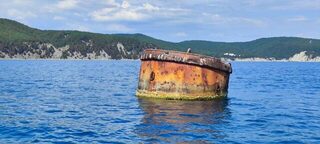 Чёрное море, Лермонтово: горбыля нашёл всё-таки, приехала старшая дочка - дело и пошло, мидий чуток
