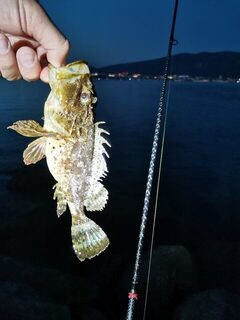 Чёрное море: ловля саргана на мормышку, пилькеры и бомбарду со спиннингом