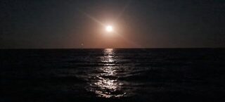Ялта, Чёрное море: ночная донная рыбалка, бычки, ерши, луфари и ставрида после полуночи