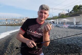 Адлер, Чёрное море: береговая ловля карасей у пляжных волнорезов во время утренних выходов