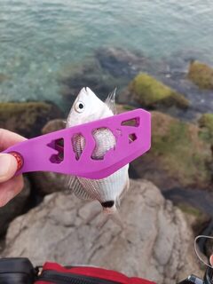 Чёрное море, пляж Метрополя: мормышка, ставрида и карась на береговой ловле