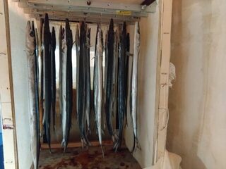 Чёрное море: выходной с бомбардой, нереисом и рыбой на жареху у берега