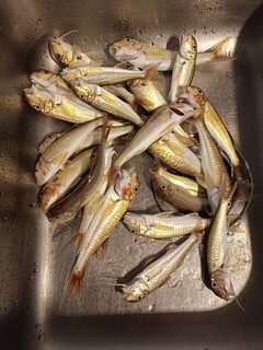 Чёрное море: район ловли проверяют заранее, а у автора вчера был сухой червь и закат в полутора часах