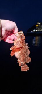 Ночная ловля ставридки на Чёрном море с силиконом и бомбардой до рассвета