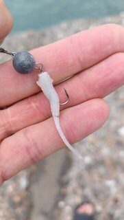 Чёрное море: ловля карася, горбыля и ставридки в спокойной чистой воде