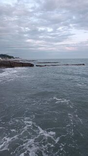 Чёрное море: ловля карася, горбыля и ставридки в спокойной чистой воде
