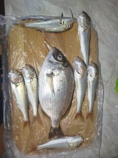 Сухум, Чёрное море: набережная Диоскуров, ловля с девяти до десяти, хороший ласкирь и барабуля