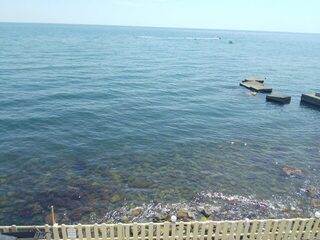 Алушта: выход на ставридошпроты удался, коты довольны, скорпены в улове, а горбылик уплыл