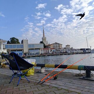Чёрное море в Сочи, у Морпорта: пятнадцать коротких выходов на рыбалку