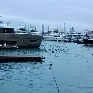 Чёрное море в Сочи, у Морпорта: пятнадцать коротких выходов на рыбалку