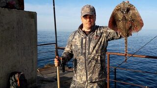 Крым, Форос, Чёрное море: утром одна, вечером пять, и все мелкие - зато первые его лисы