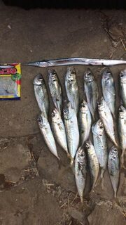 Чёрное море: вкуснящка у автора получилась реальная, а на преснячке, пишет он, ловил иногда