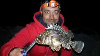 На легкий джиг в городской черте Судака попадаются вот такие ерши