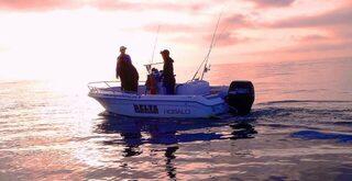 Какие способы ловли описывали для дельты Эбро