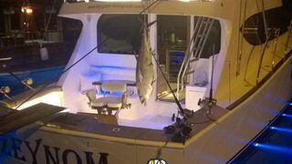 Каким был анонс морской ловли в Сиде в 2014-м