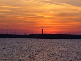 Крупный луфарь ушел, чернокопы остались, а пеламиду еще ждем