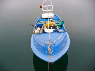 Порт Бургас в конце декабря 2007-го: 18 пеленгасов, а назавтра 44, и оба раза сингиль и кефаль
