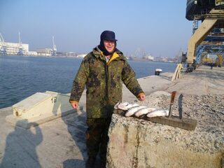 В Судаке: морская донная ловля на свежую шпроту, семь судаков и два бычка