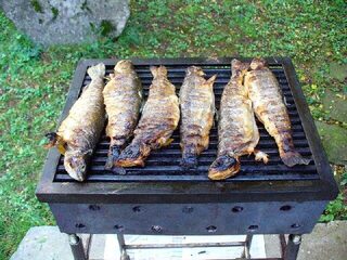Болгария: чем ловят на Чёрном море, каникулы в горах и большая рыба на платных прудах