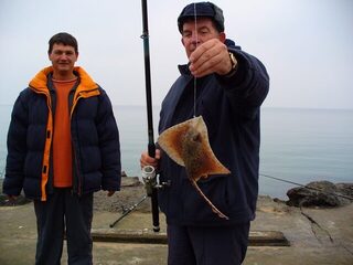 Черноморец и Чёрное море: морская ловля калкана на выходных в туман и при восточном ветре