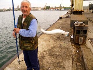 Бургас и пришедшая ставрида: самодур для умеющих, рыбный базар для остальных
