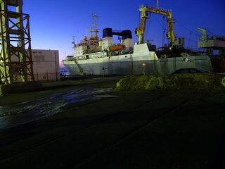 Бургас, Западный порт: рыбалка 30.12.2010 с 06.00 до полудня, первый лёд и 19 судаков
