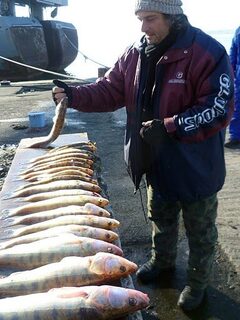 Бургас, Западный порт: рыбалка 30.12.2010 с 06.00 до полудня, первый лёд и 19 судаков
