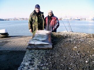 Бургас, Западный порт: рыбалка 30.12.2010 с 06.00 до полудня, первый лёд и 19 судаков