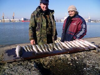 Бургас, Западный порт: рыбалка 30.12.2010 с 06.00 до полудня, первый лёд и 19 судаков