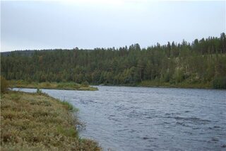 Норвегия, две недели на реках и фьорде: форель, хариус и сайда на спиннинг, воблеры и пилькер