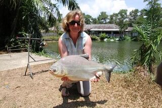 Платник Phuket Fishing Park рядом с гостиницей на Пхукете